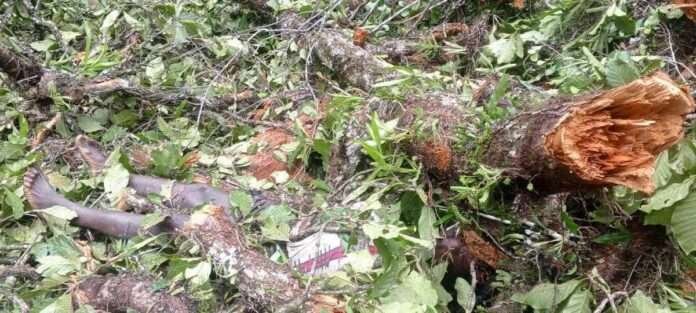 Scene of the Incident.