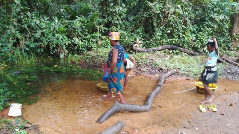 Residents of Werbloe Town Cry Out for Safe Drinking Water Amid Growing Health Concerns