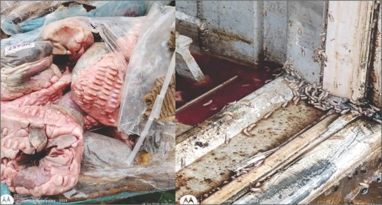MOCI Seizes 50 Cartons of Rotten Frozen Chicken at Freeport