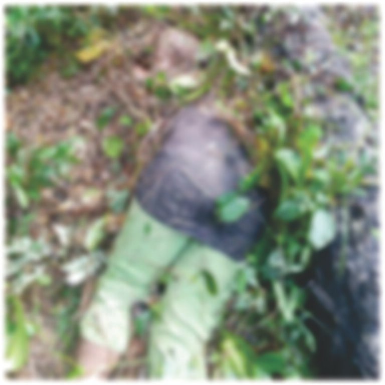 Man Under Investigation After Wife Dies in Palm Tree Accident in Fuamah District, Bong County
