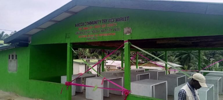 Physical Market Infrastructure Alone Is Not Enough”, River Gee Market Superintendent Calls for Loans for Women Traders